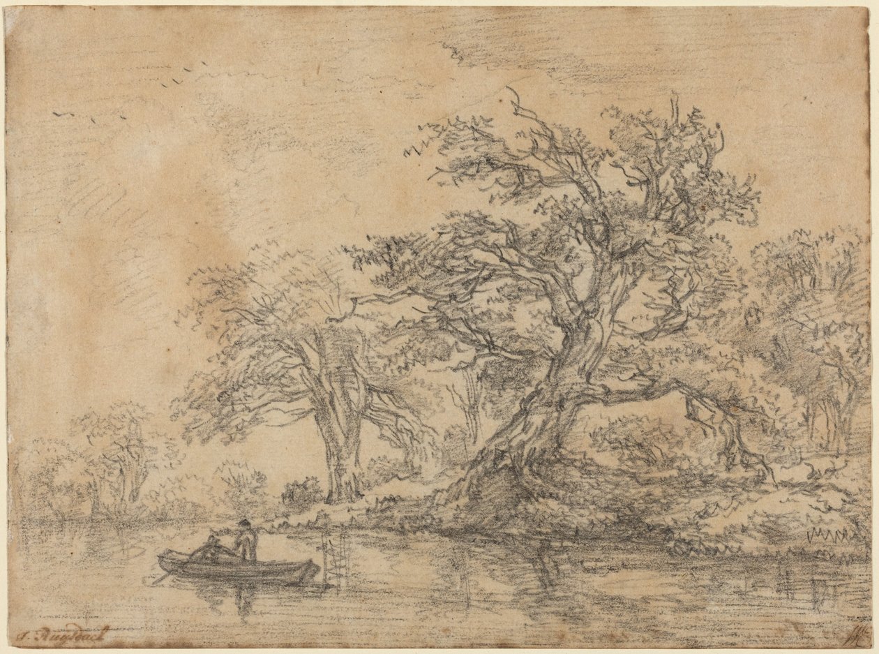 Staré stromy podél břehu od Jacob van Ruisdael