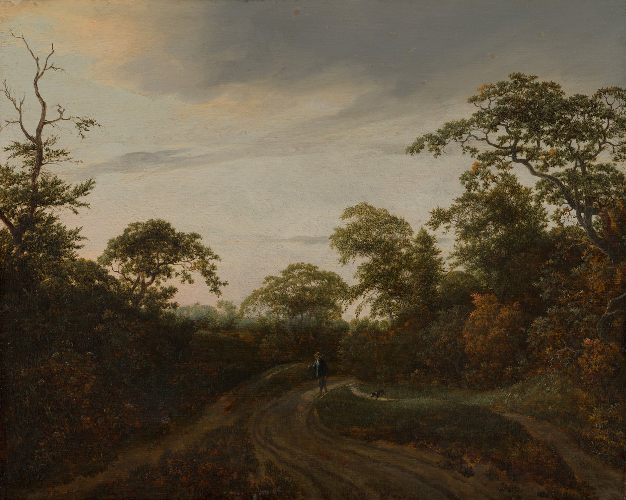 Cesta zalesněnou krajinou za soumraku od Jacob van Ruisdael