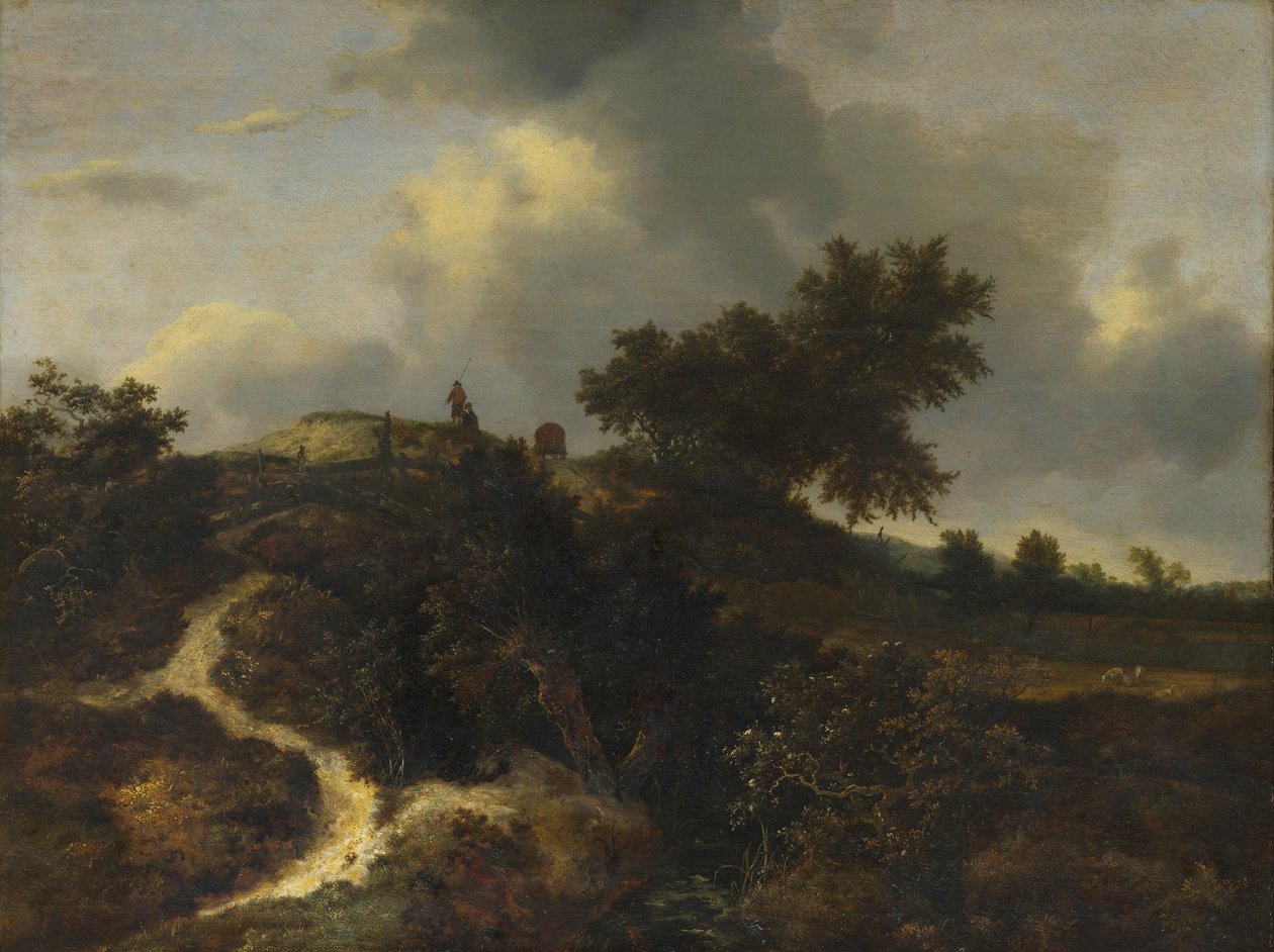Písečné pahorky porostlé stromy od Jacob van Ruisdael
