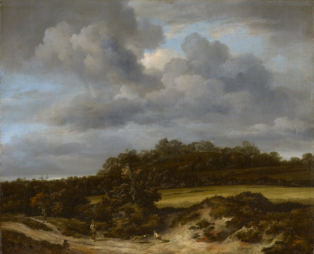 Kukuřičné pole od Jacob van Ruisdael