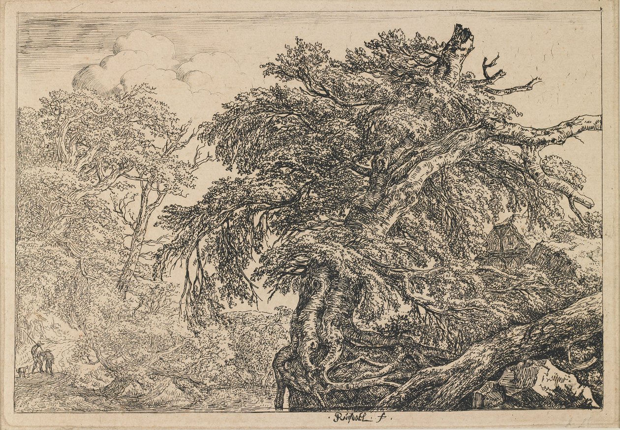 Velký buk se dvěma muži a psem od Jacob van Ruisdael