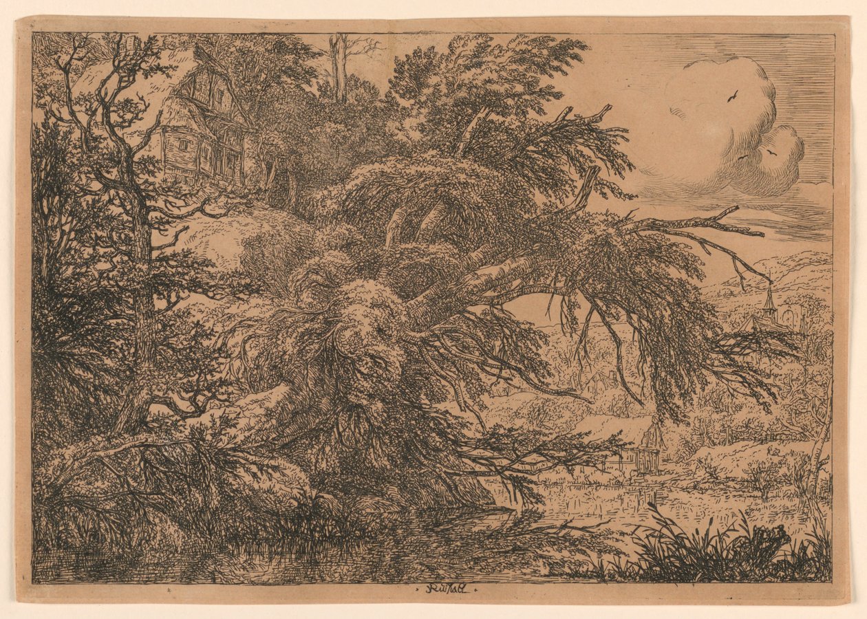 Došková chalupa na kopci od Jacob van Ruisdael