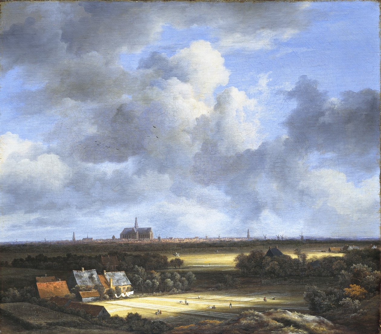 Pohled na bělidla a Haarlem od Jacob van Ruisdael
