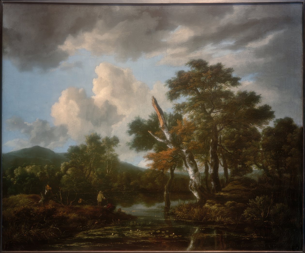 Lesní krajina s rybníkem od Jacob van Ruisdael