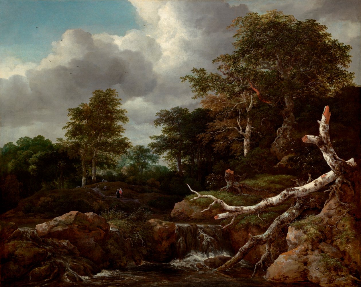 Waldszene od Jacob van Ruisdael