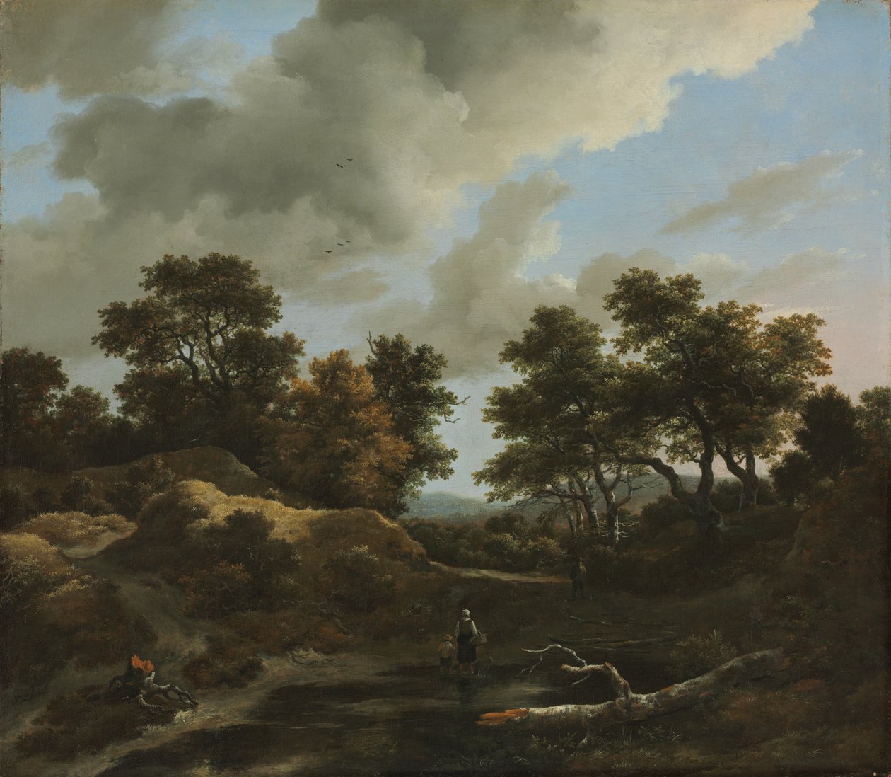 Zalesněná a kopcovitá krajina, 60. léta 17. století. od Jacob van Ruisdael