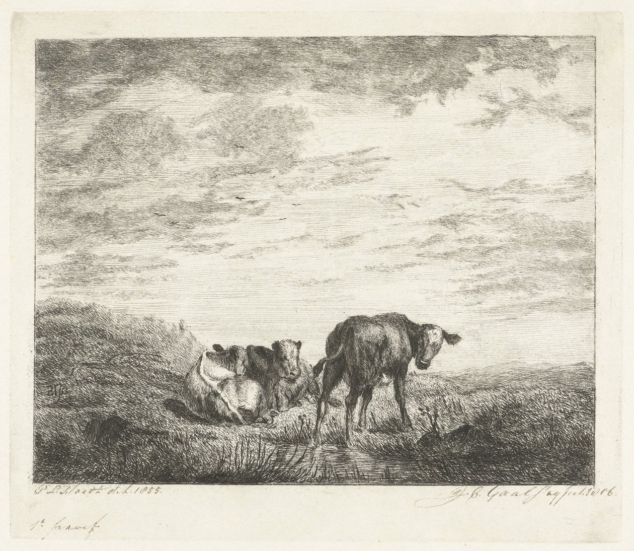 Tři telata od Jacobus Cornelis Gaal (signed by artist)