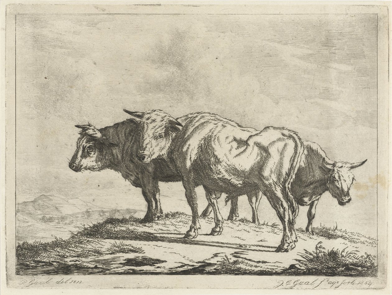 Tři voli od Jacobus Cornelis Gaal