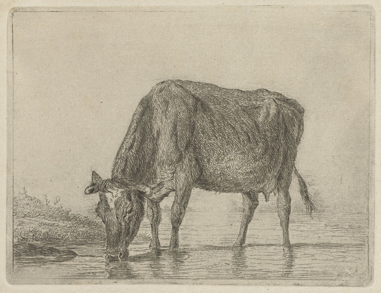 pitná kráva od Jacobus Cornelis Gaal