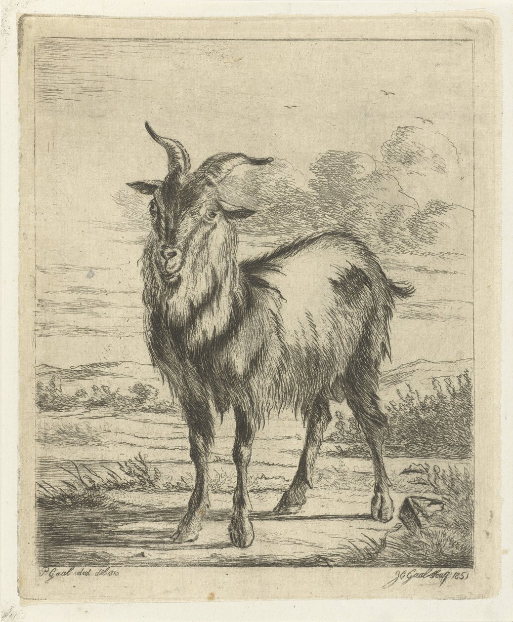 stojící koza od Jacobus Cornelis Gaal