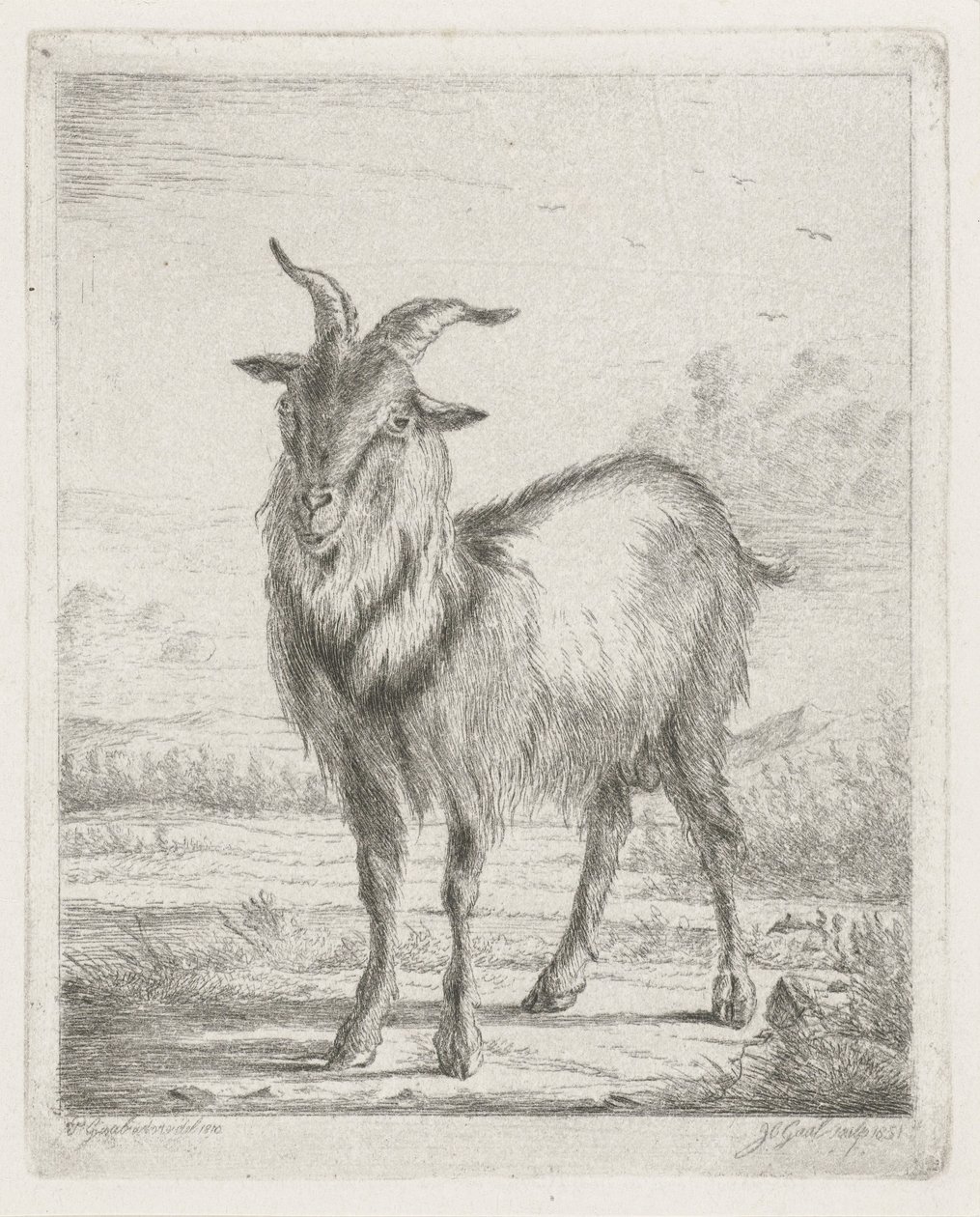stojící koza od Jacobus Cornelis Gaal