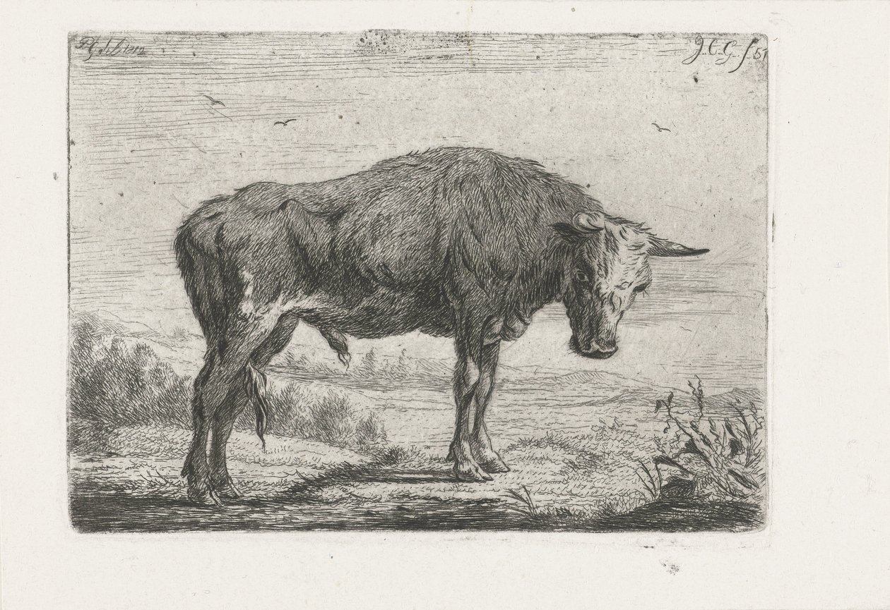 stojící býk od Jacobus Cornelis Gaal