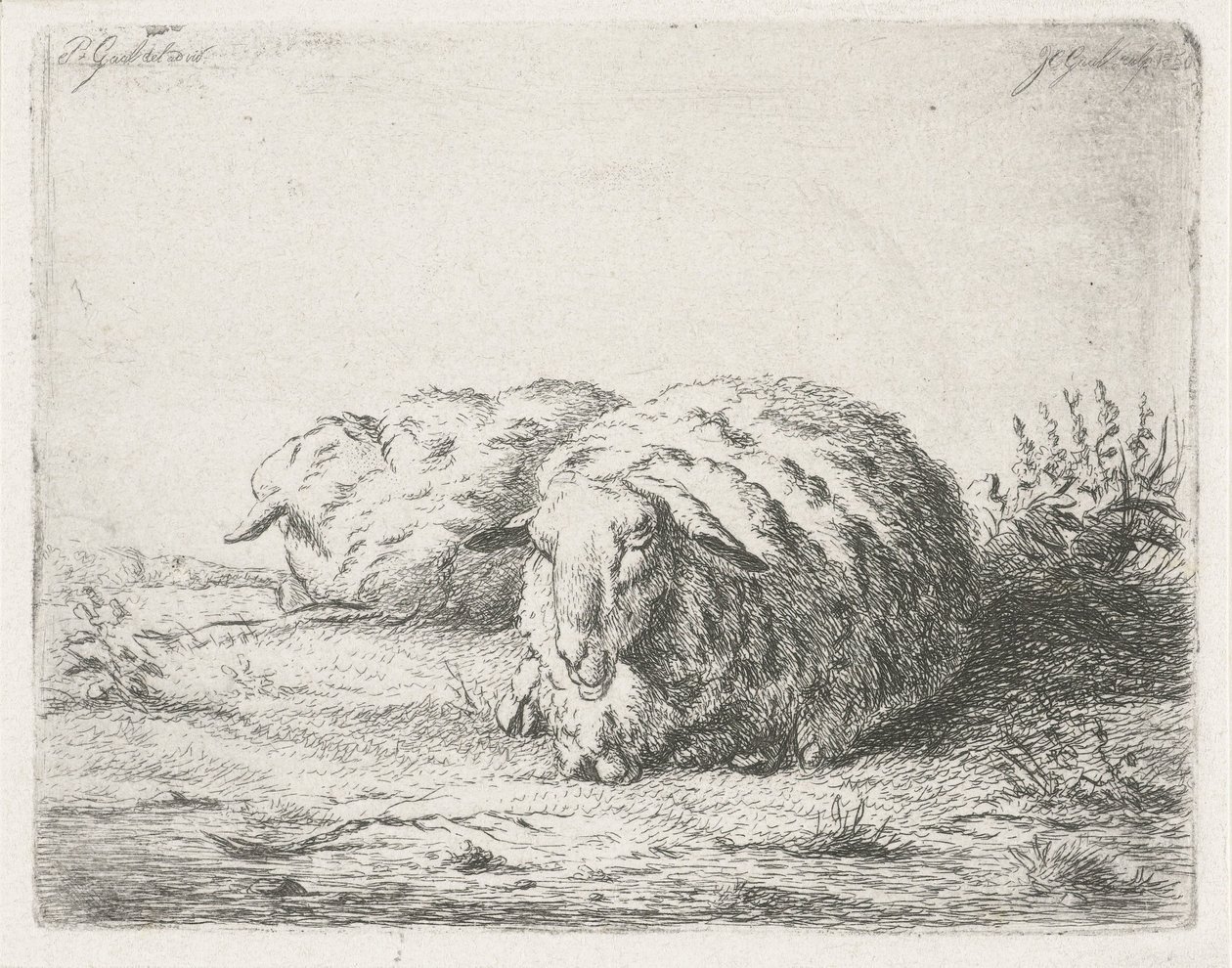 Dvě ležící ovce od Jacobus Cornelis Gaal