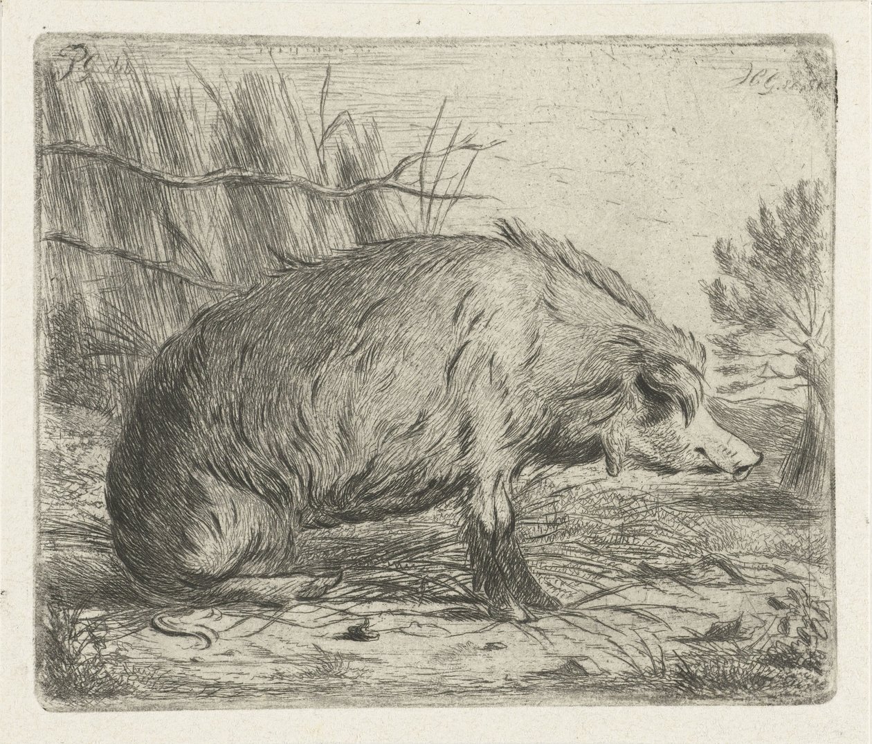 Sedící divočák od Jacobus Cornelis Gaal