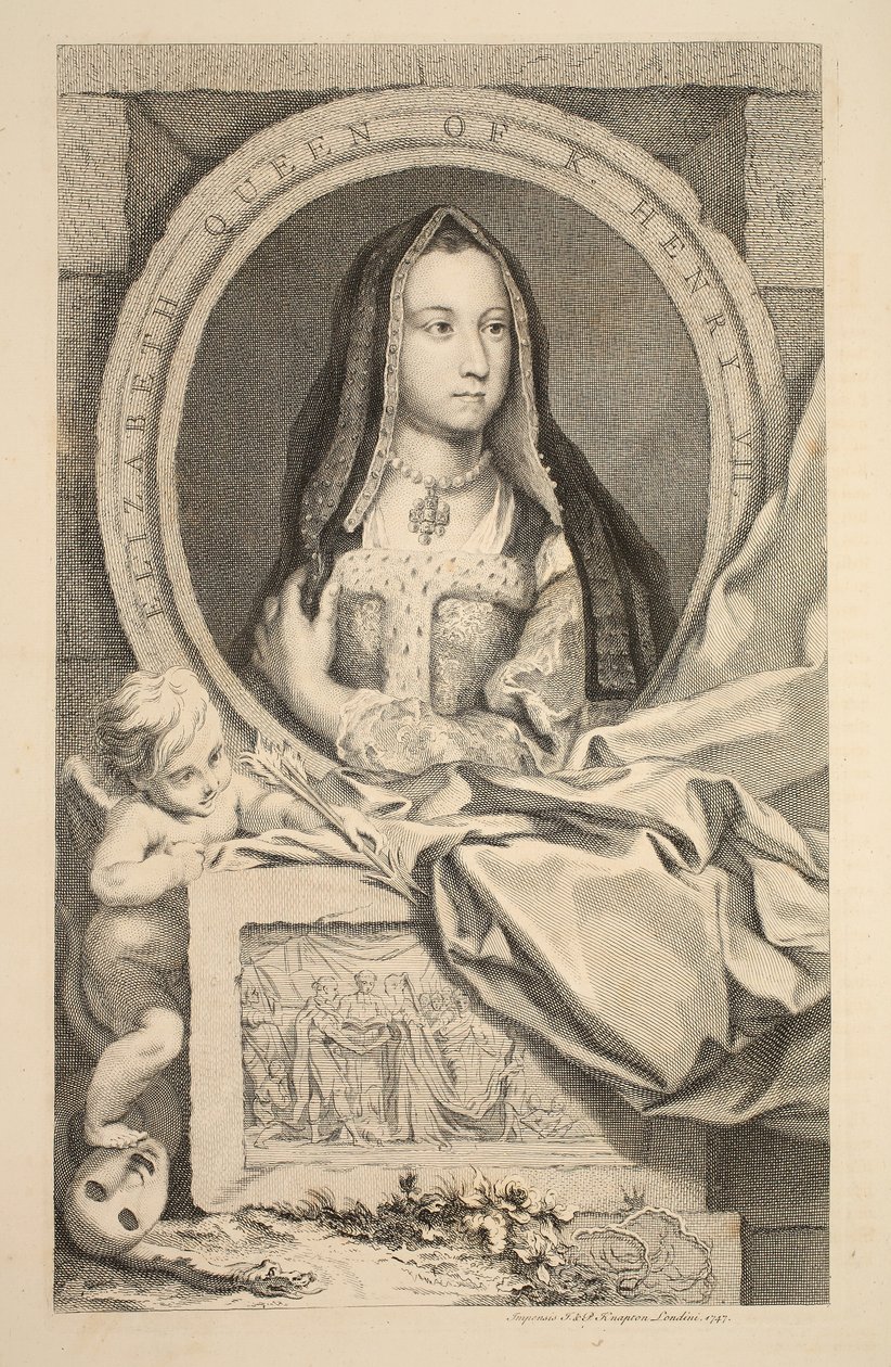 Portrét Alžběty, královny Jindřicha VII., ilustrace z 