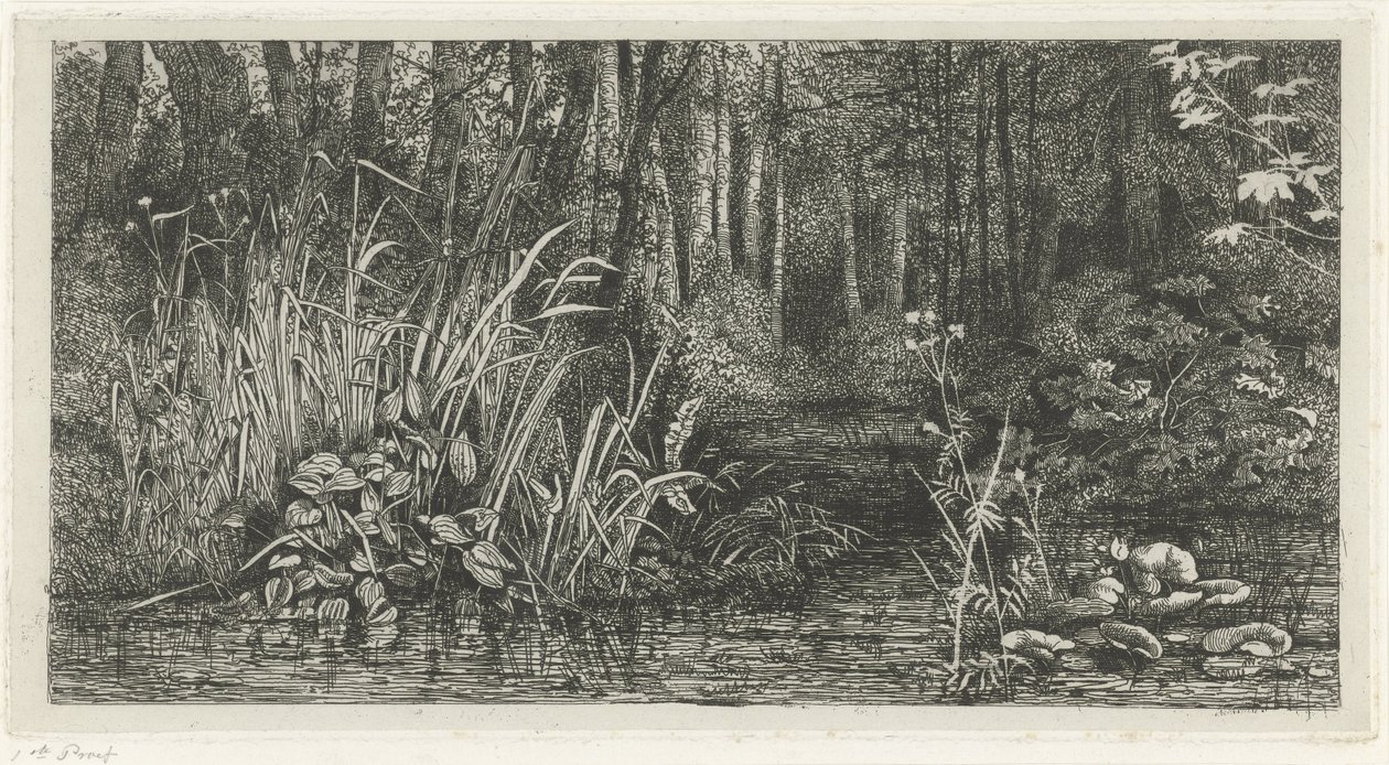 Bosbeekje od Jacobus Ludovicus Cornet