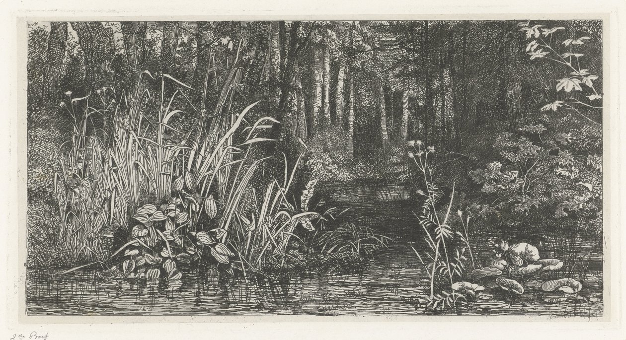 Bosbeekje od Jacobus Ludovicus Cornet