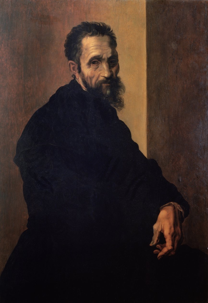 Portrét Michelangela, kolem roku 1535 od Jacopino del Conte