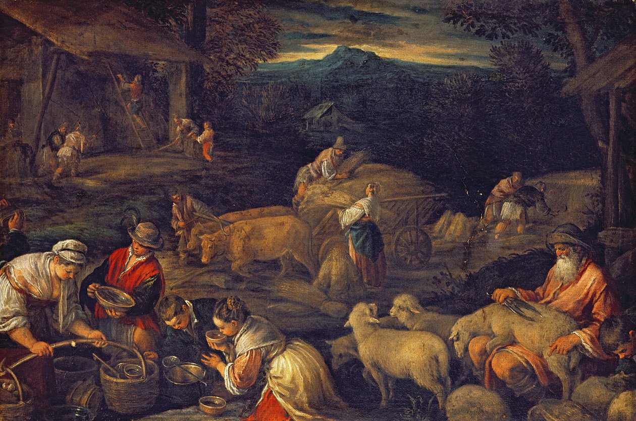 Interiér farmy nebo stříhání ovcí od Jacopo Bassano
