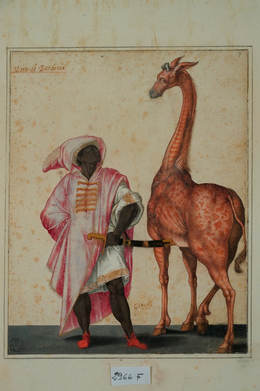 Berber se žirafou (tempera na papíře) od Jacopo Ligozzi