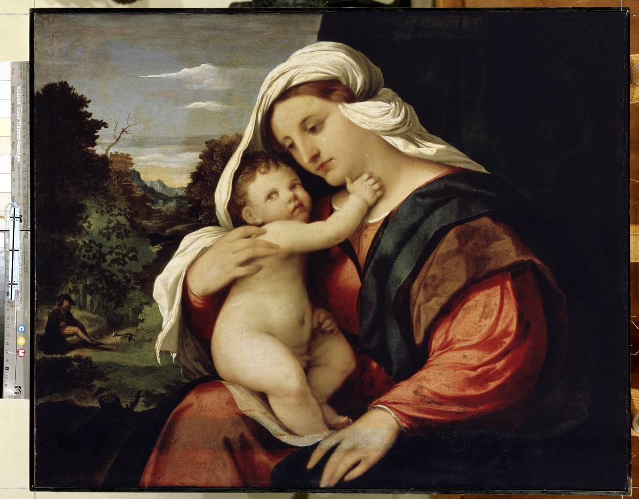 Panna a dítě. Obraz od Jacopa Palmy il Vecchio (Starý nebo starší od Jacopo (c.1480 1528) Palma