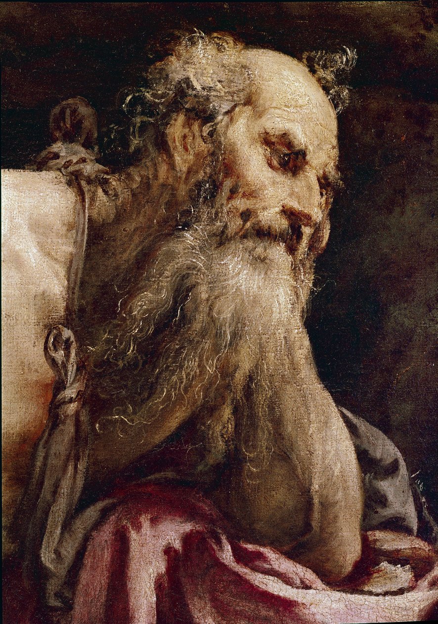 Svatý Jeroným v meditaci od Jacopo Bassano