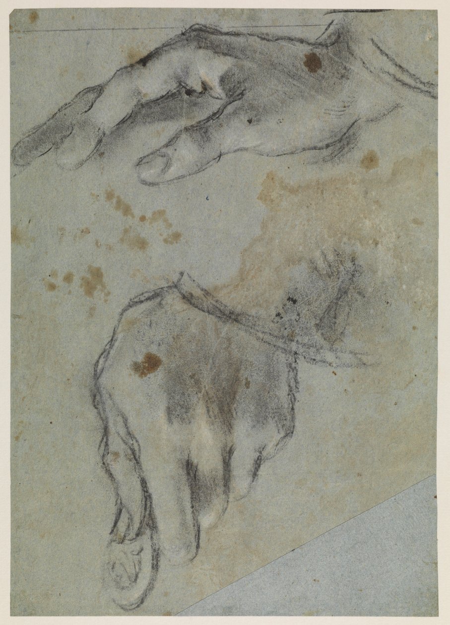 Studie rukou, recto, 16. stol od Jacopo Bassano