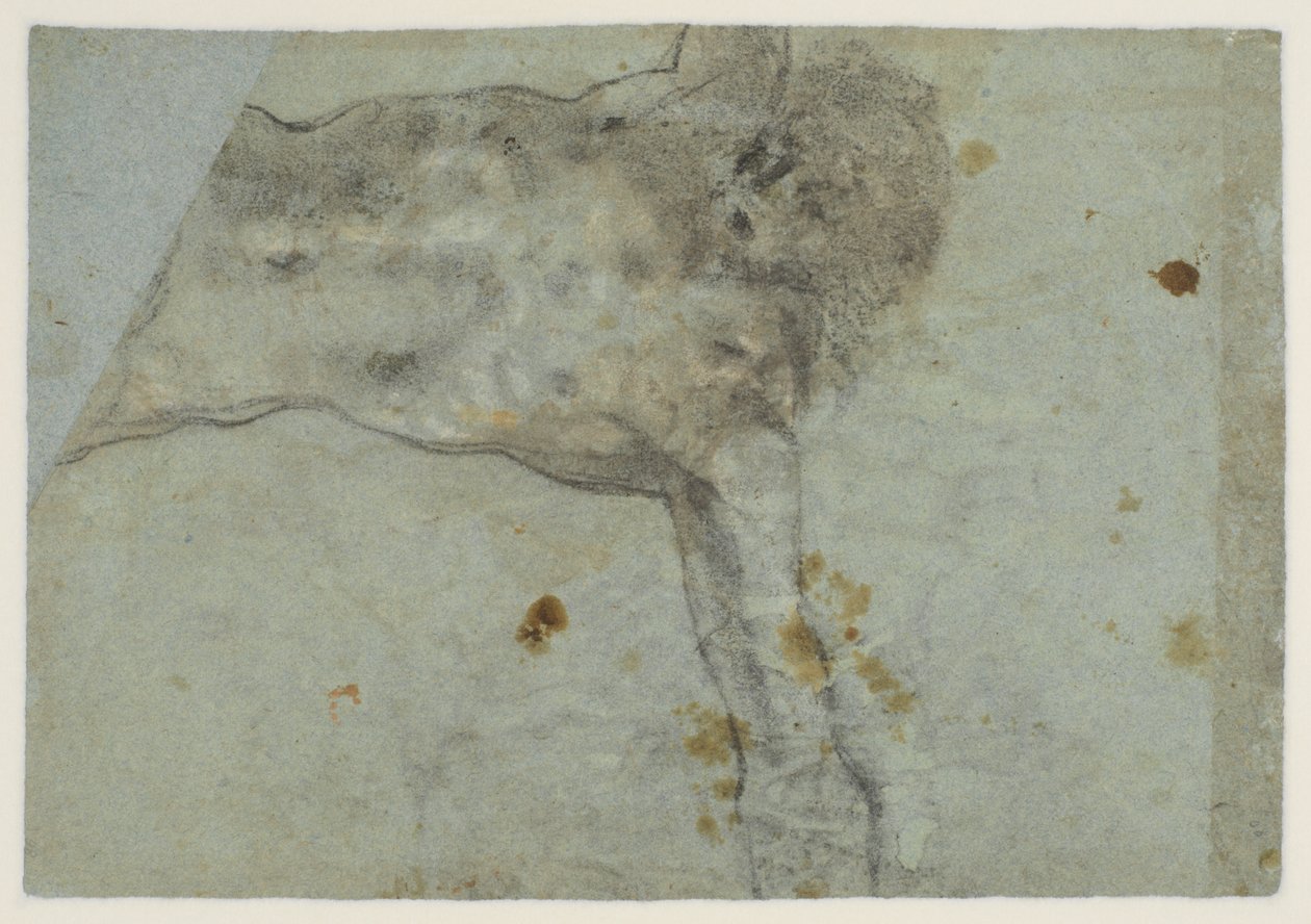 Studie o ukřižovaném Kristu, verso, 16. století od Jacopo Bassano