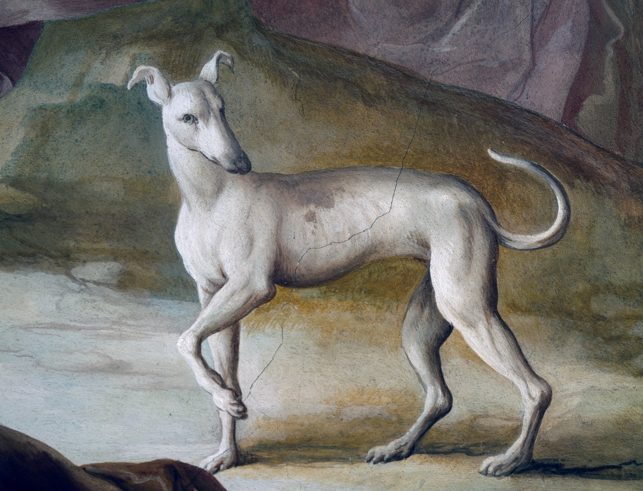 Pes, detail z fresky Jacopo Guarana (1720-1808), centrální sál Villa Contarini, Valnogaredo, Veneto, Itálie od Jacopo Guarana