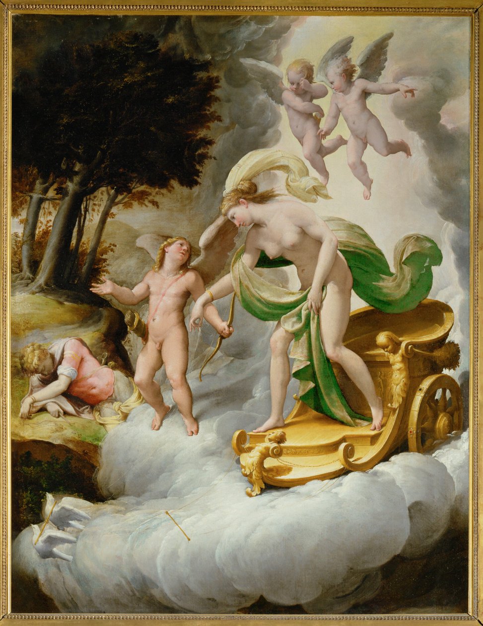 Venuše vedená Amorem k mrtvému Adonisovi... od Jacopo Ianguidi (1544 c.1573) Bertoia