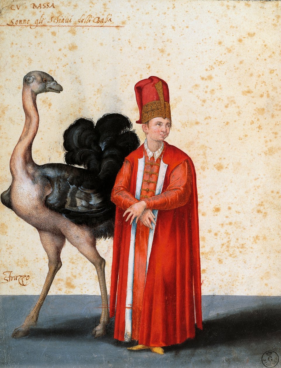 Otrok s pštrosem, kresba Jacopo Ligozzi (1547-1627) od Jacopo Ligozzi