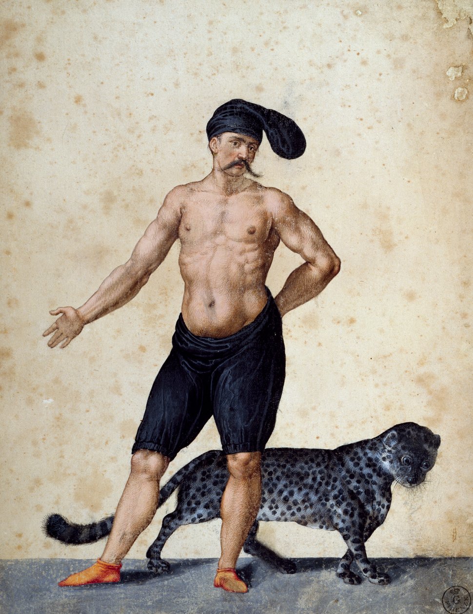 Mladý Afričan stojící vpředu, napůl oblečený s dlouhou berrettou (čepicí) na hlavě, s tygrem za zády, kresba Jacopo Ligozzi (1547-1627) od Jacopo Ligozzi