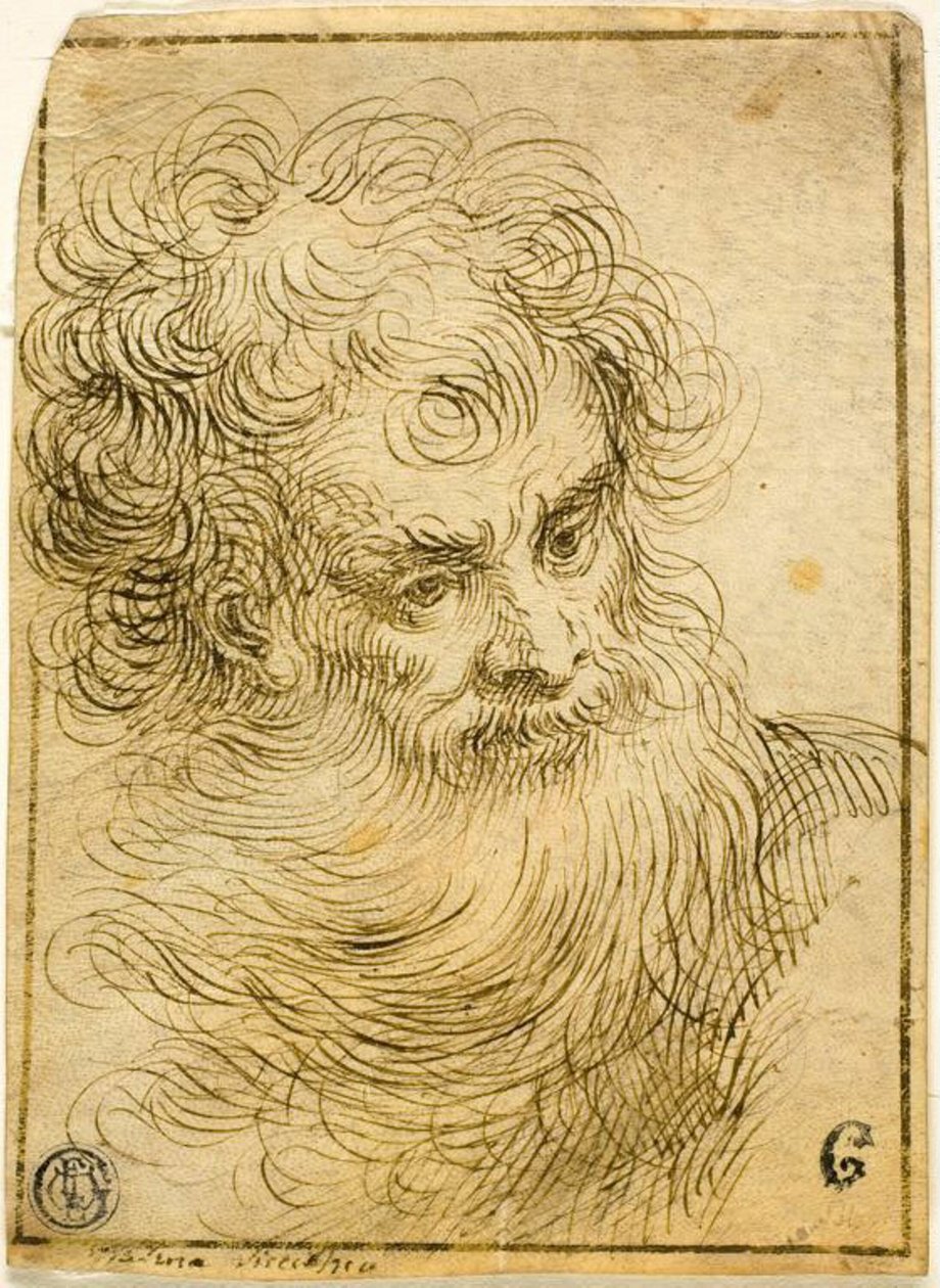 hlava vousatého starce (recto); Dekorativní náčrt květin a listů (verze) od Jacopo Palma il Giovane