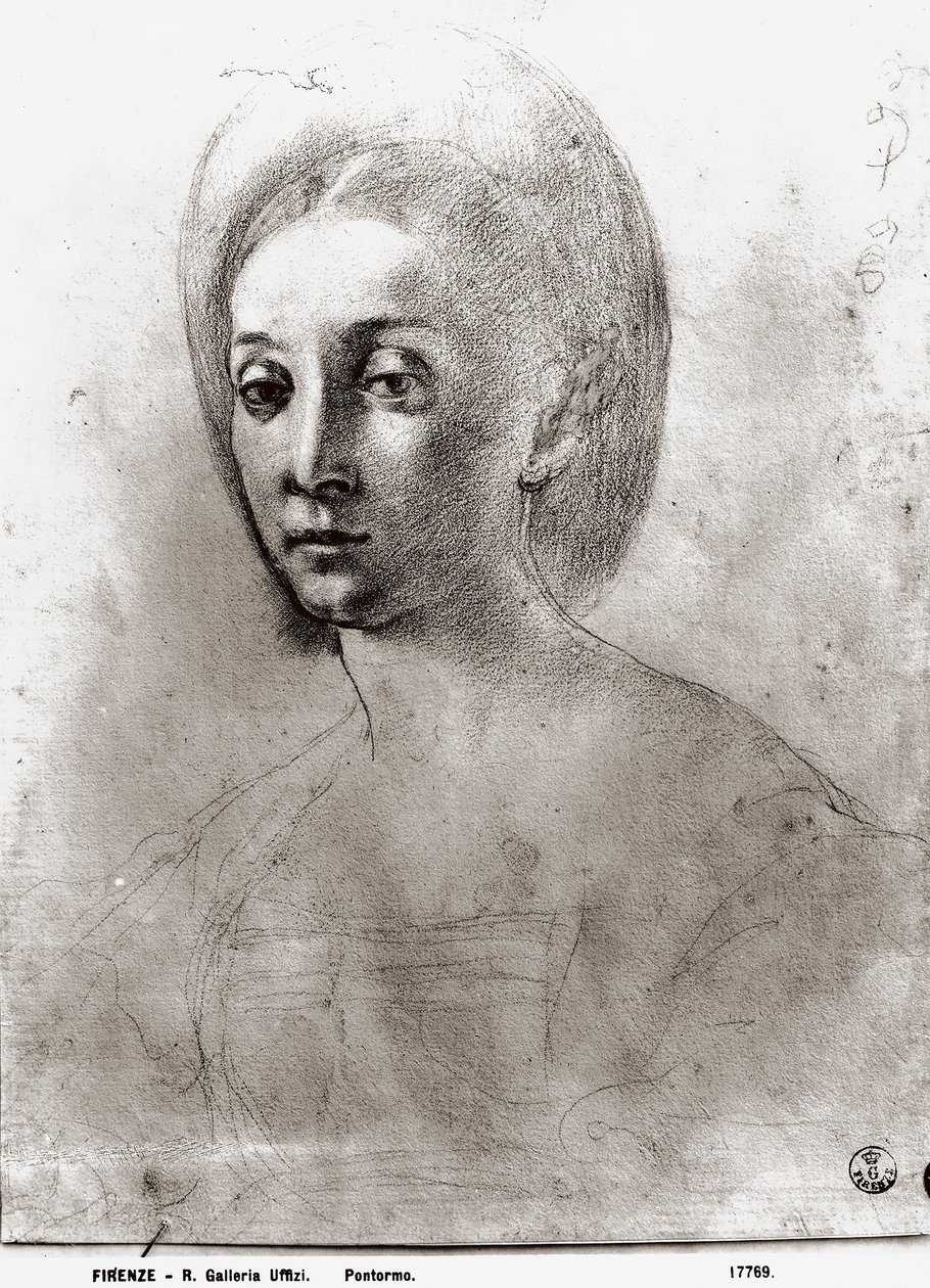 Hlava ženy (křída na papíře) od Jacopo Pontormo