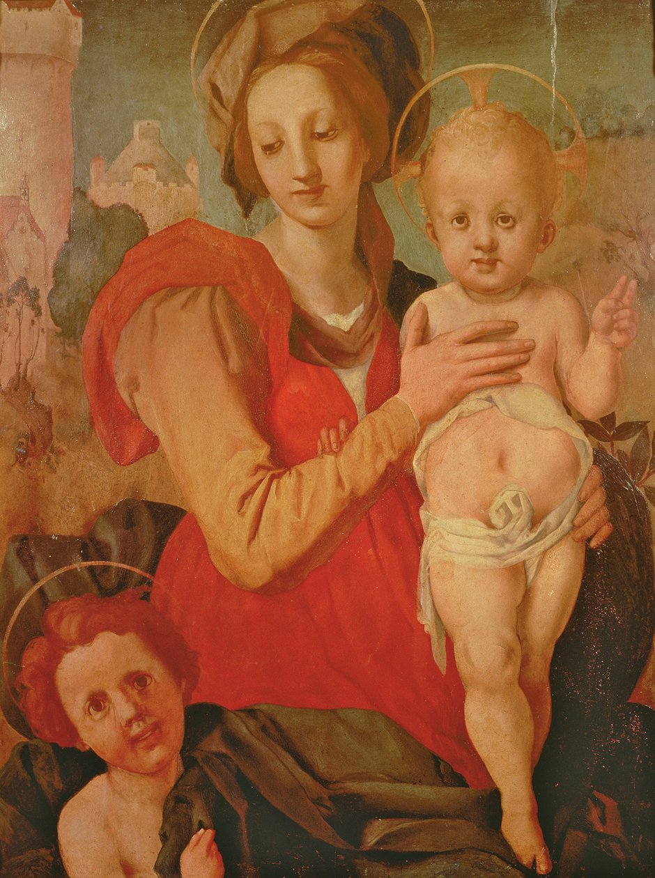 Madona s dítětem s nemluvnětem sv. Jana Křtitele (panel) od Jacopo Pontormo