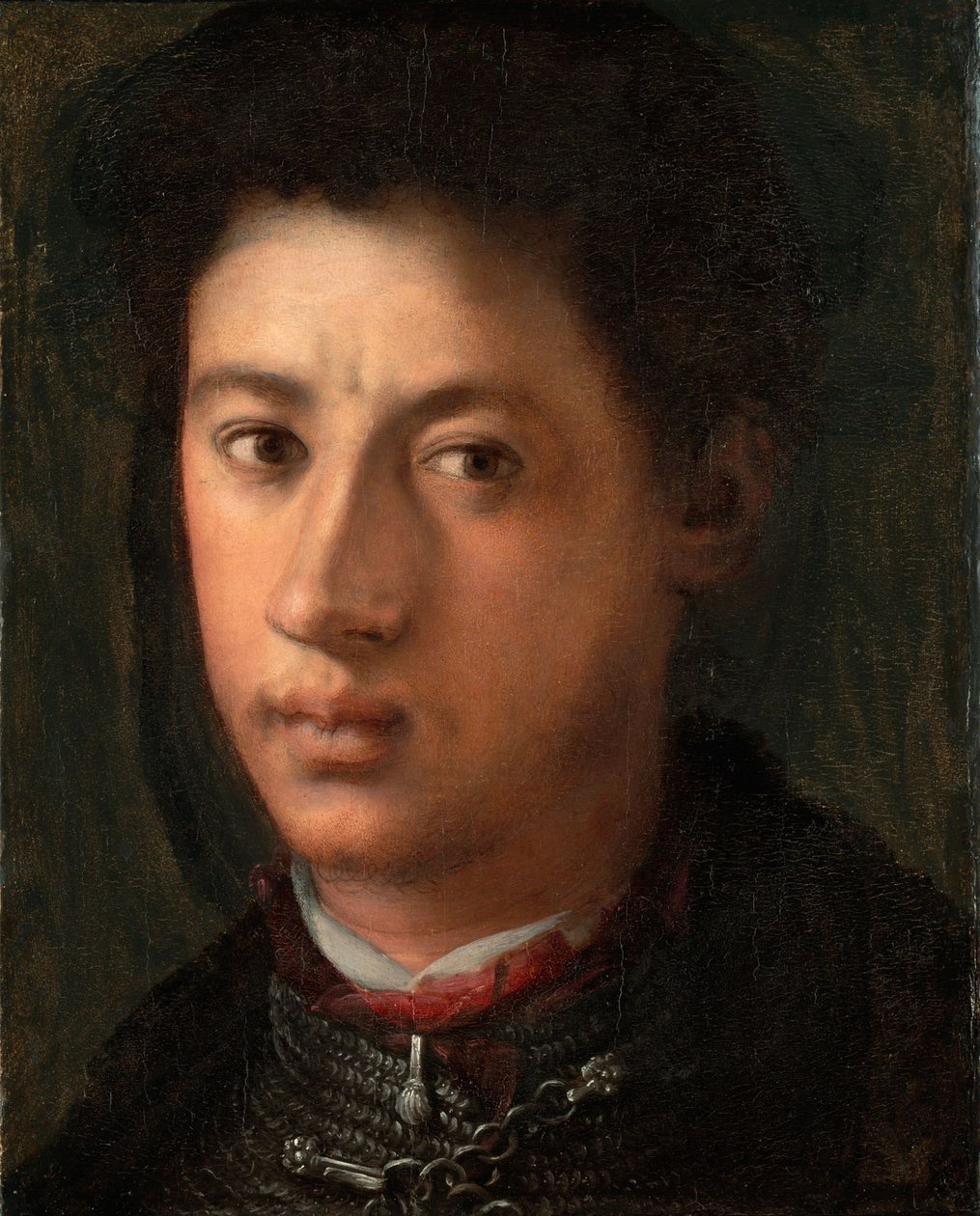 Portrét Alessandra de Medici 1510-1537, 1534-1535 od Jacopo Pontormo