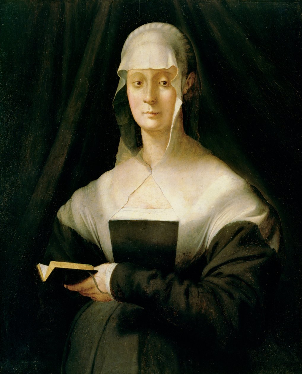 Portrét Marie Salviati, 1543 od Jacopo Pontormo