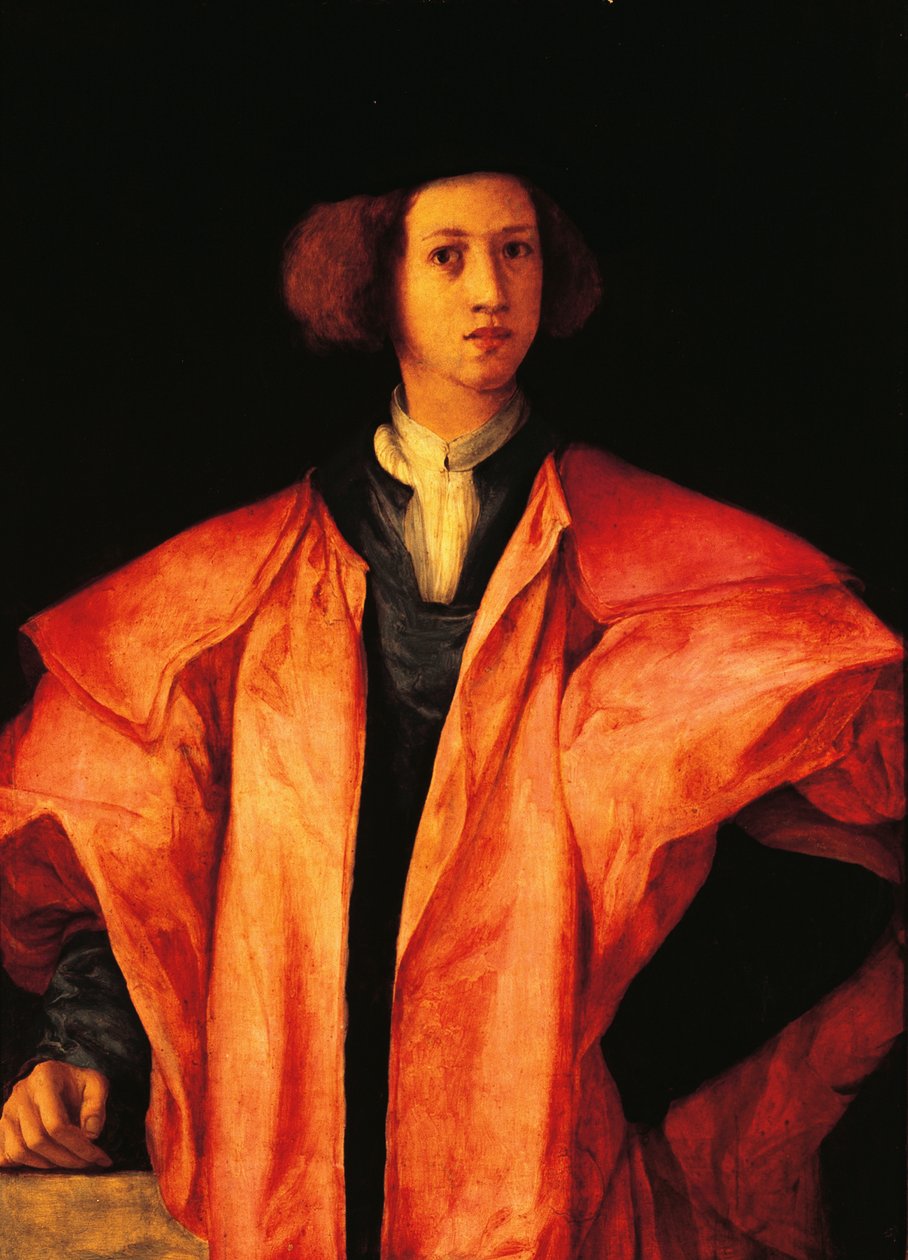 Portrét mladého muže, snad Amerigo Antinori, cca 1530, Jacopo Carucci, známý jako Pontormo (1494-1557), olej na panelu od Jacopo Pontormo