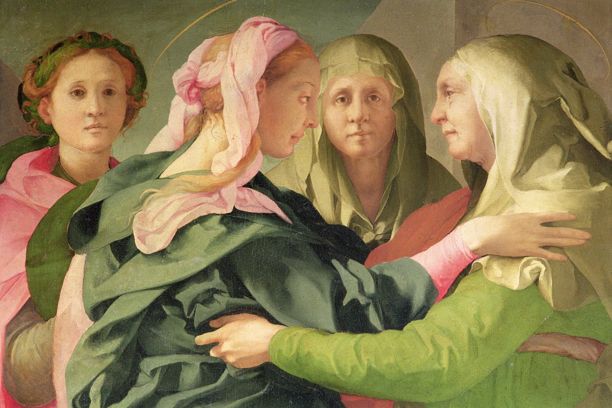 Detail návštěvy 60438 od Jacopo Pontormo
