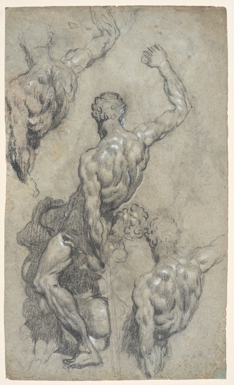 Studie Michelangelova „Samsona a Filištínů“, kolem 1575–1585 (křída, dřevěné uhlí, kvaš, papír) od Jacopo Robusti (workshop of) Tintoretto