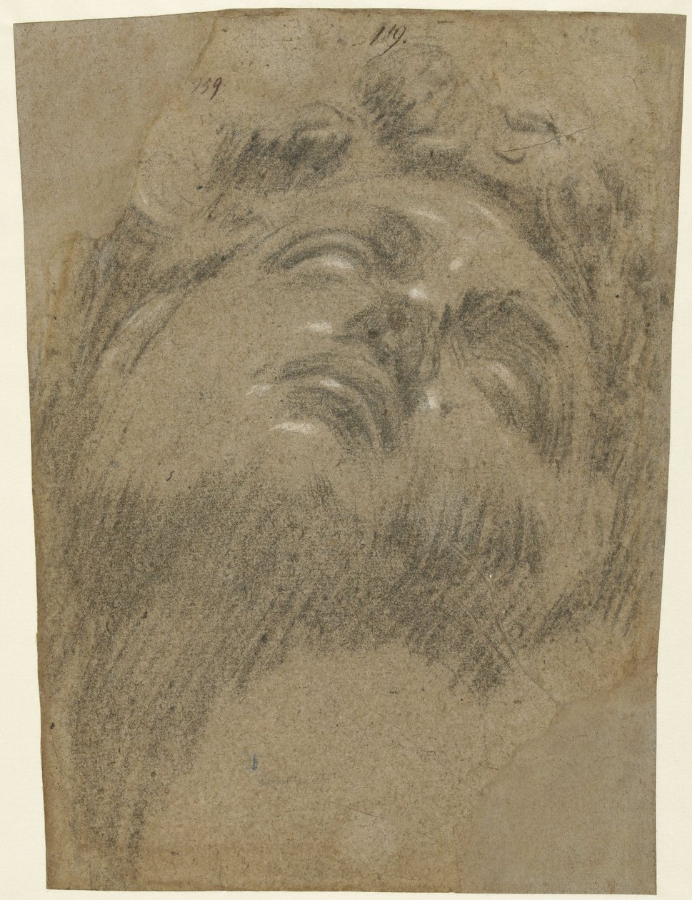 Giuliano dei Medici podle Michelangela, cca 1550 (křída na papíře) od Jacopo Robusti Tintoretto
