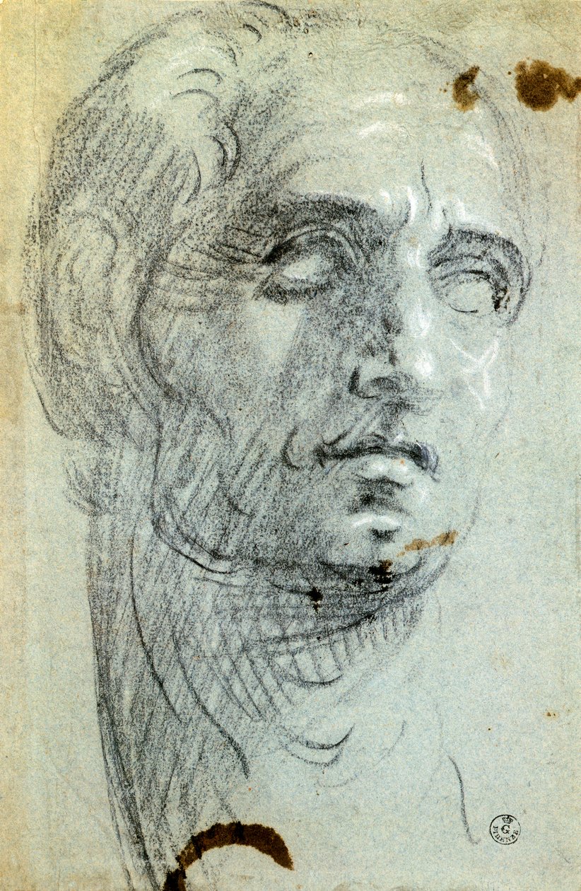 Mužská hlava od Jacopa Robustiho známého jako Tintoretto (1518-1594), kresba od Jacopo Robusti Tintoretto