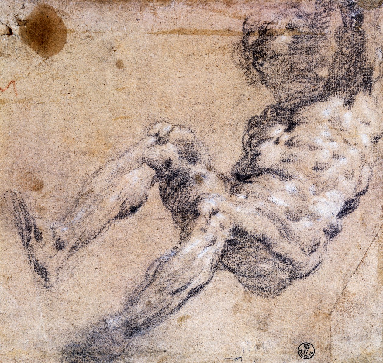 Studie mužského aktu od Jacopo Robusti Tintoretto