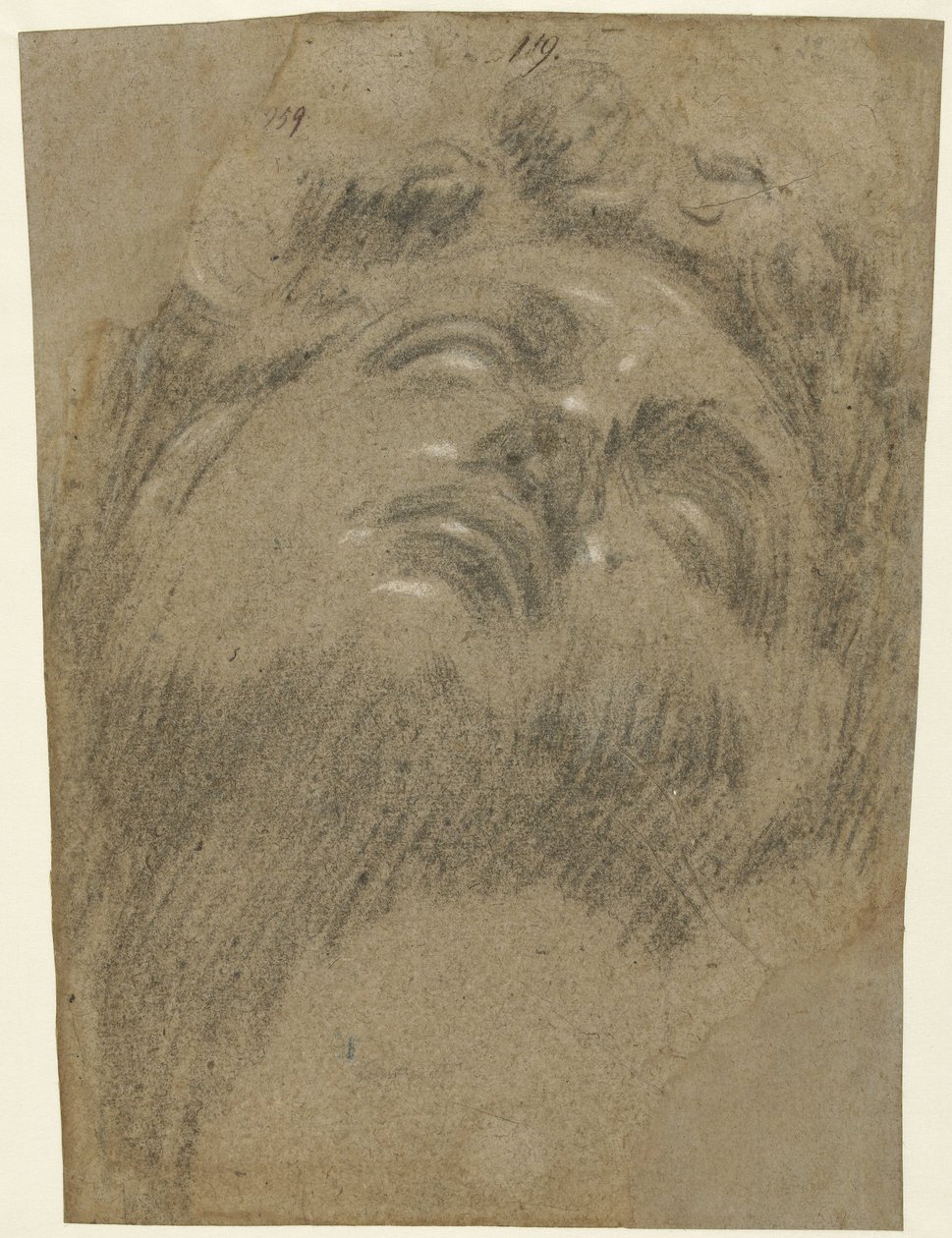 Hoofd van Giuliano dei Medici od Jacopo Tintoretto