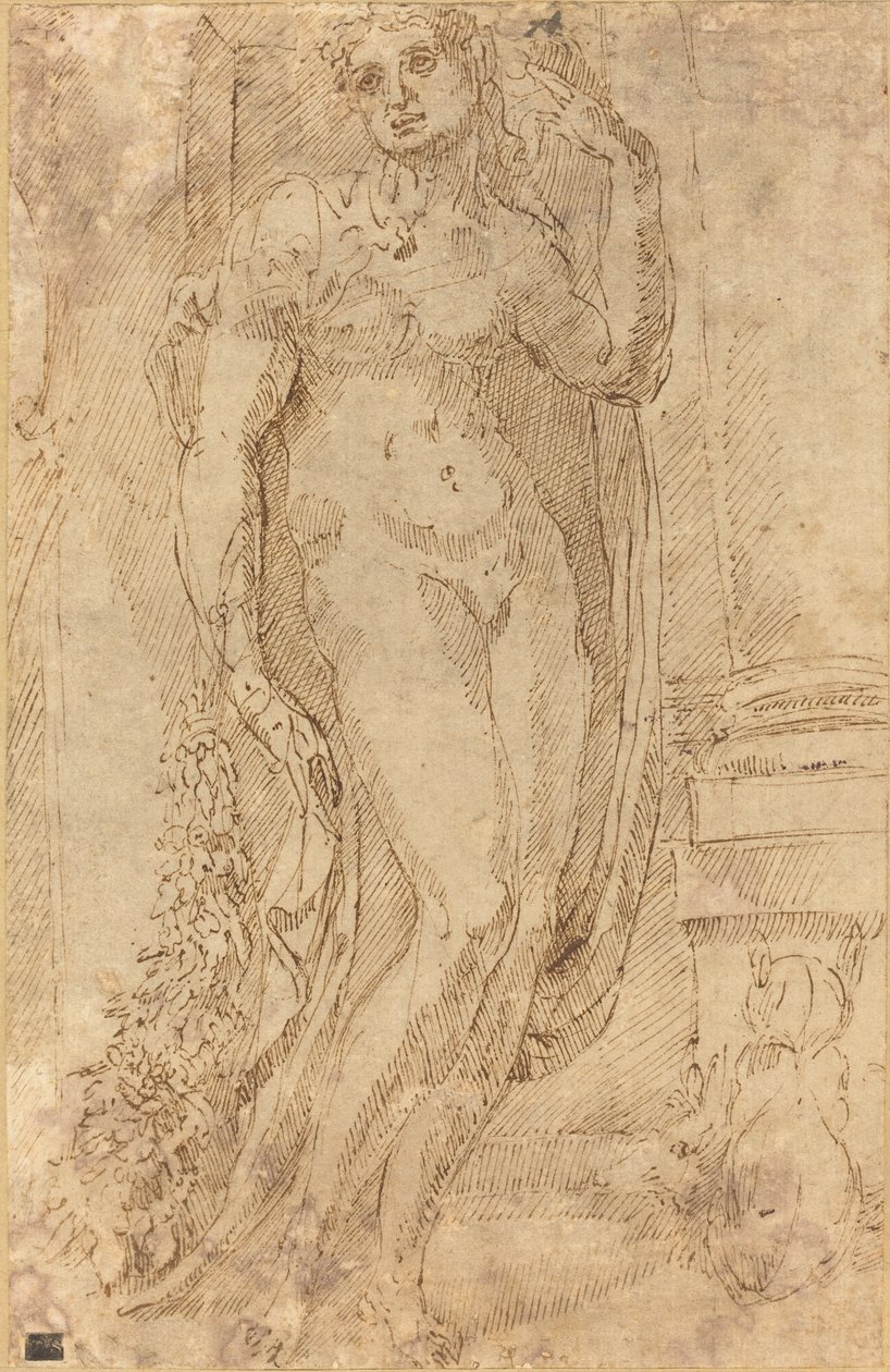 Alegorická postava s kočkou a prasetem od Jacopo di Giovanni