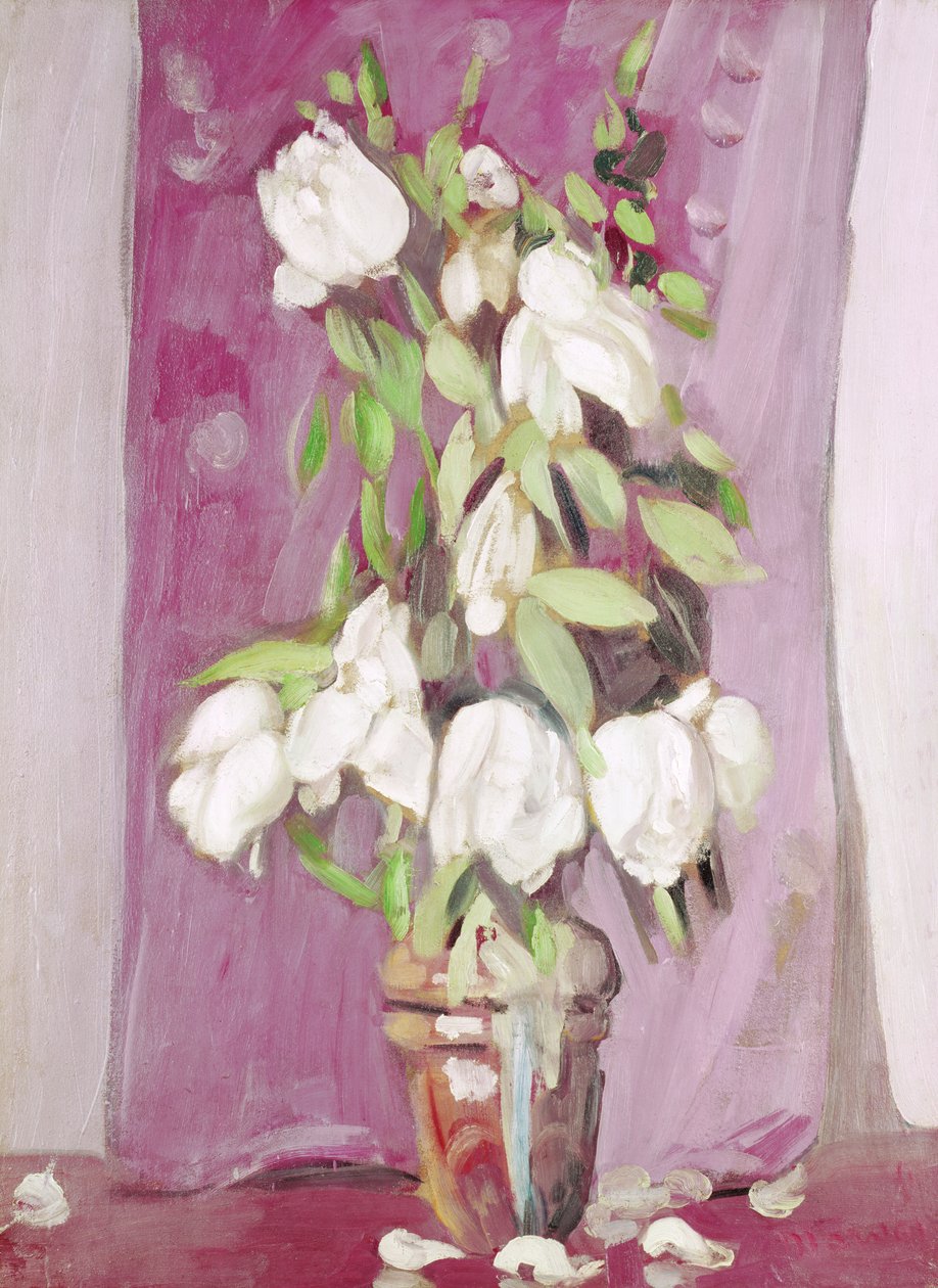 Bílé tulipány od Jacqueline Marval