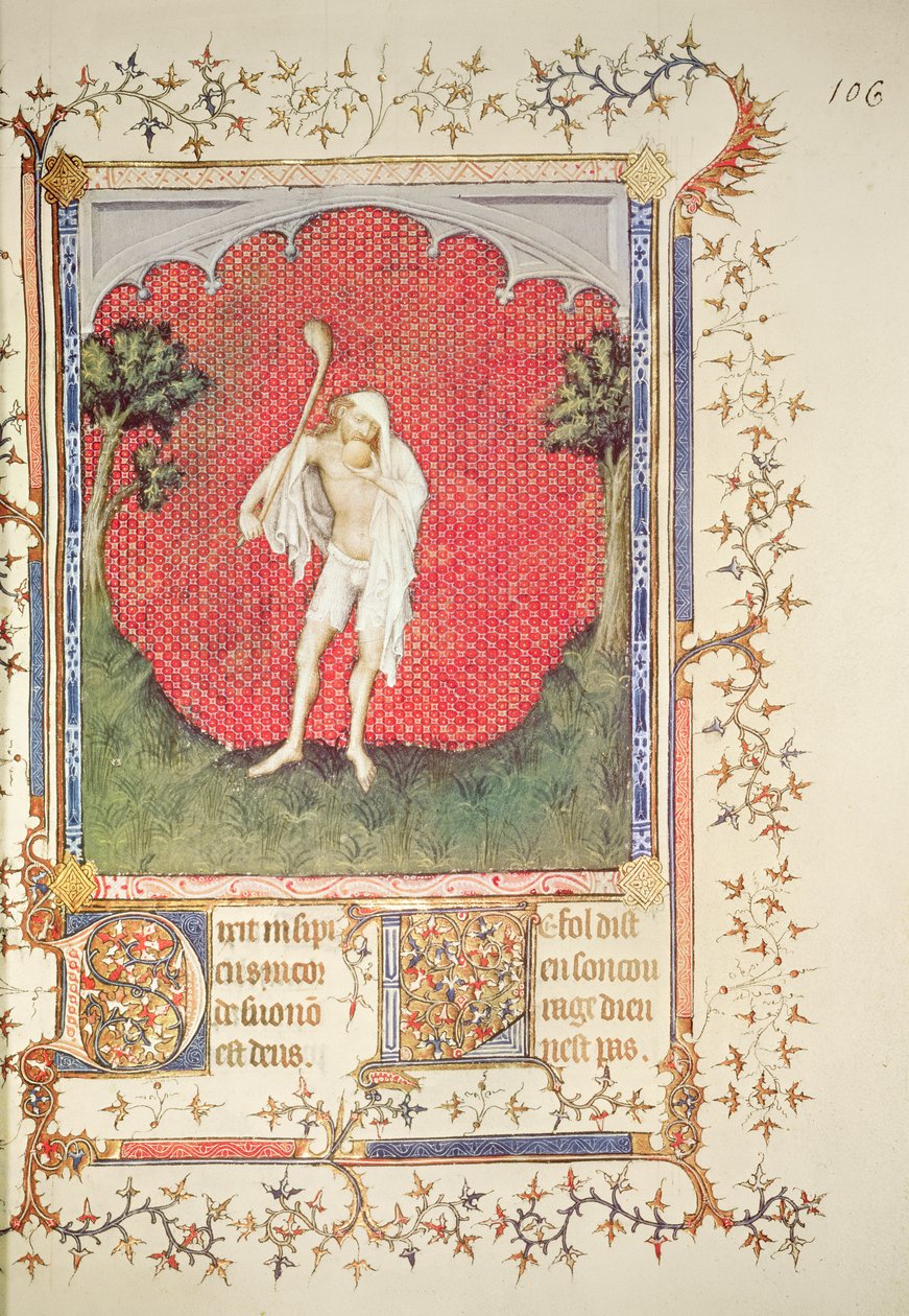 Fr 13091 f.106 Blázen, z 