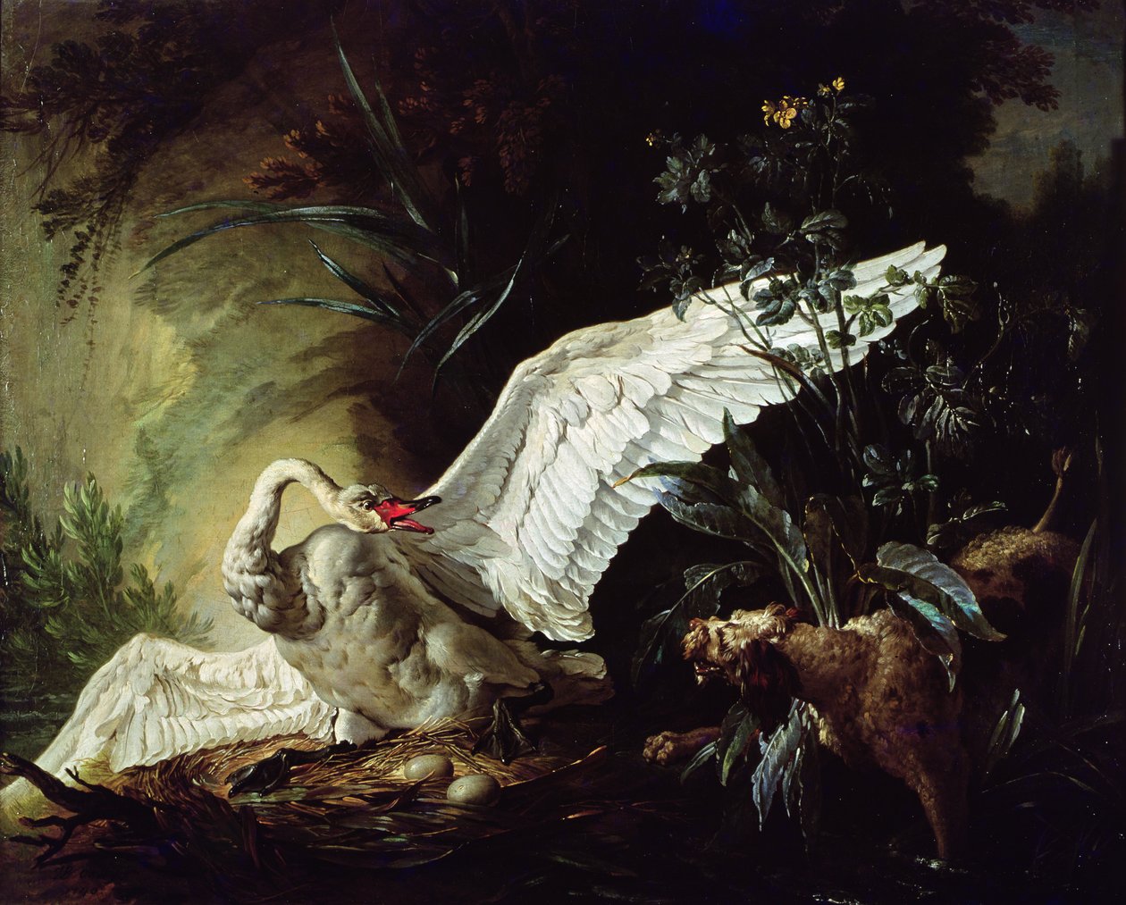 Vodní španěl útočí na labuť na hnízdě, 1740 od Jacques Charles Oudry