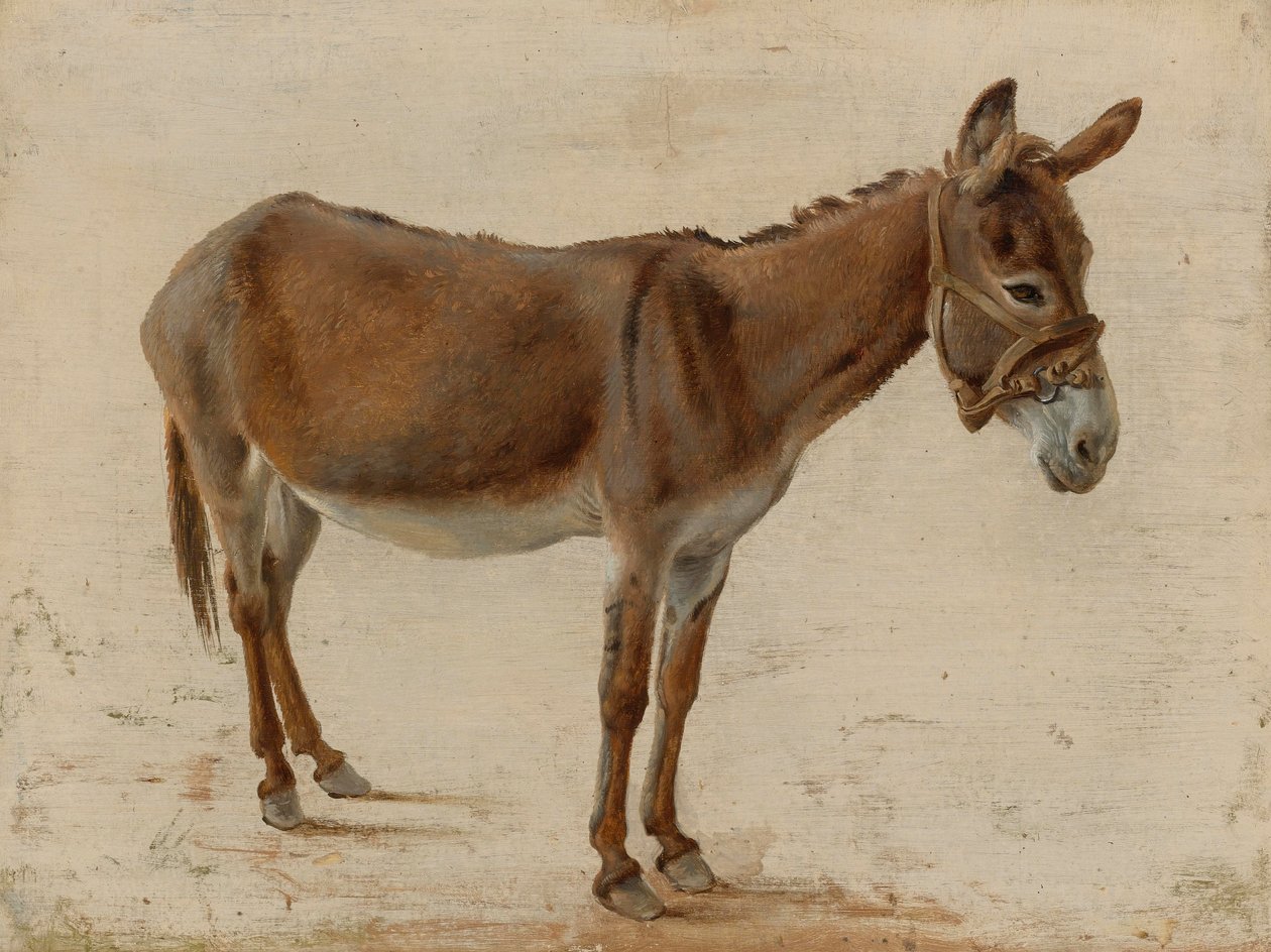 Osel od Jacques Laurent Agasse