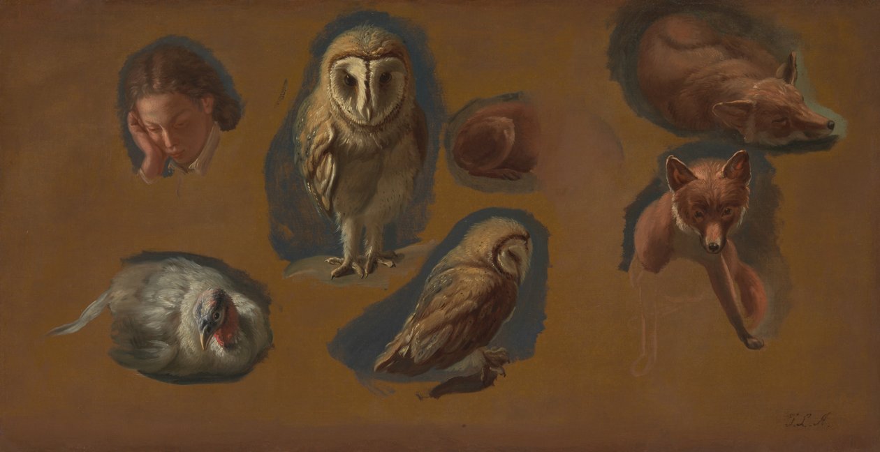 Studie Lišky, Sovy pálené, Peahena a hlavy mladého muže od Jacques Laurent Agasse